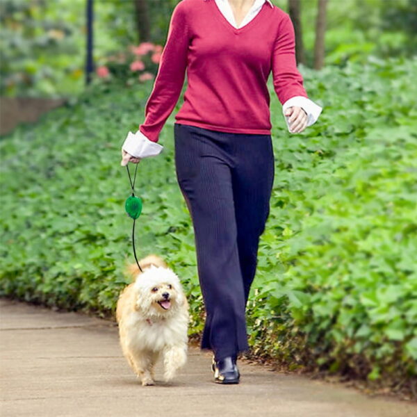 Mini Retractable Dog Leash