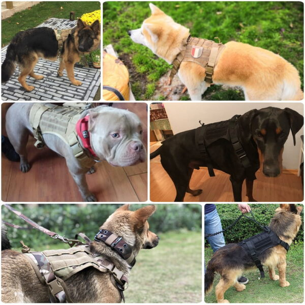 Tactical Dog Harness with Leash