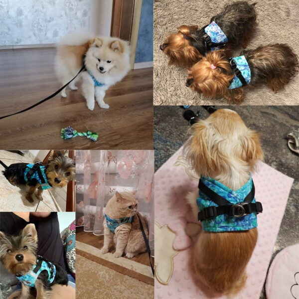 Dreamy Winter Dog Harness Vest with Leash