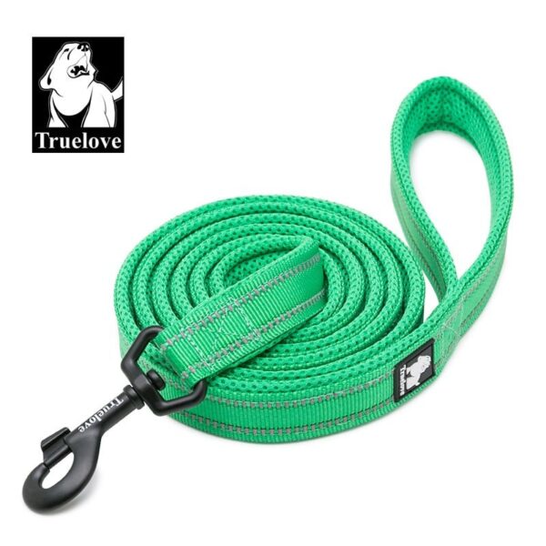 Truelove Stripe Reflective Nylon Dog Leash 4 Feet