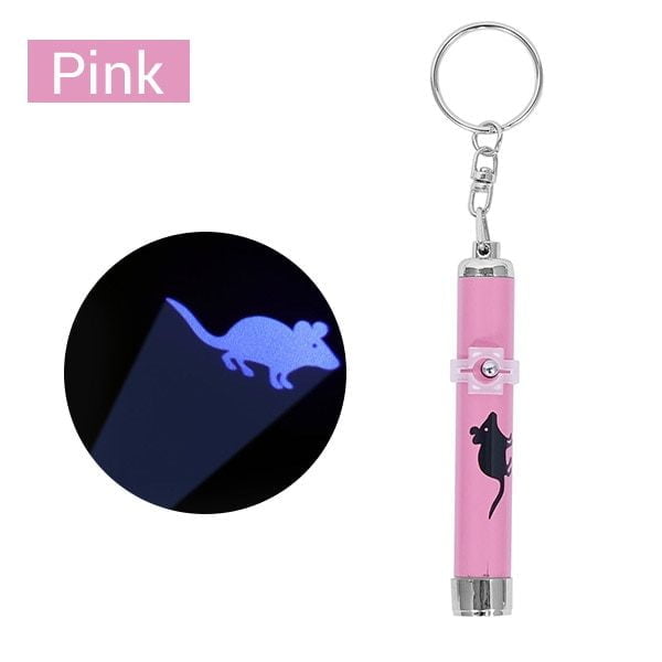 Portable LED Pointer Key Chain Various Shapes and Colors