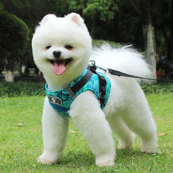 Dreamy Winter Dog Harness Vest with Leash