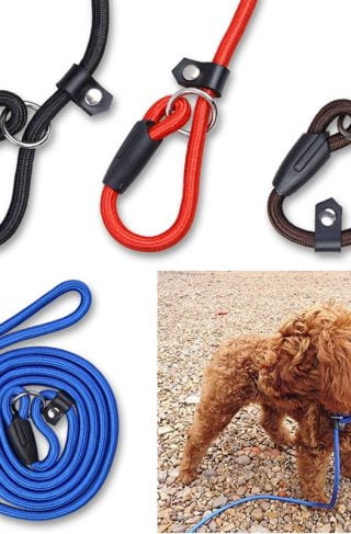 Simple Dog Leash and Collar