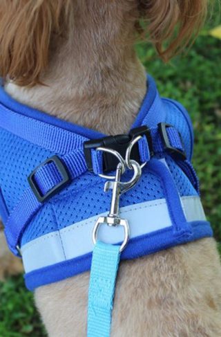 Effosola Mesh Dog Harness with Leash