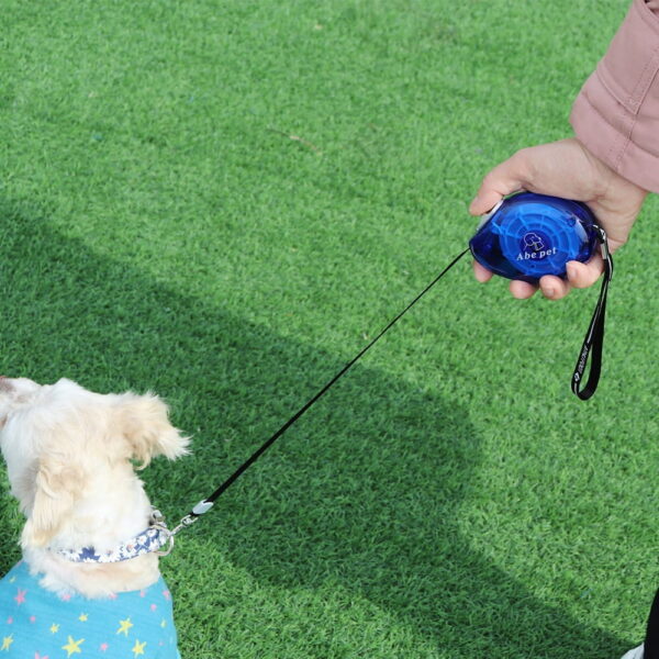 Mini Retractable Dog Leash