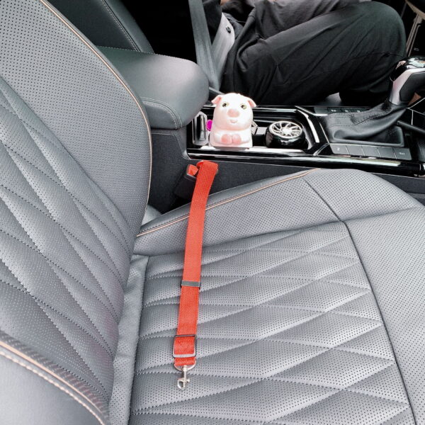 OLN Seat Belt Clip Adjustable Harness Leash