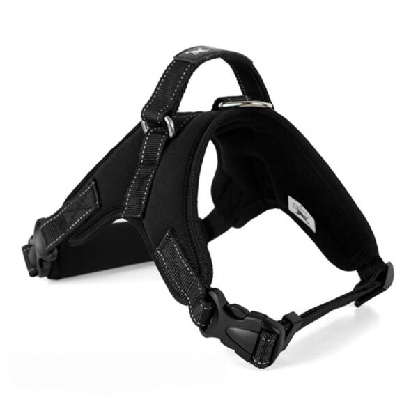 Tailup Neoprene Dog Harness Haus of Pet