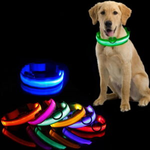LED Battery Dog Collar